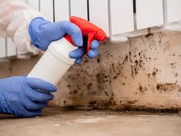 Best Mold Removal for HVAC Installations in Crompond, NY